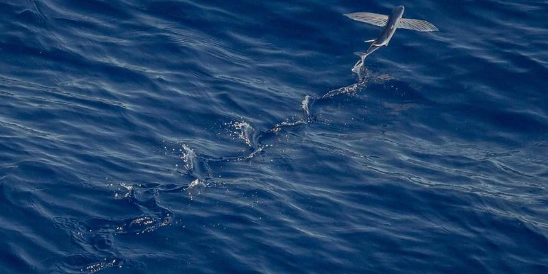 北欧极简风家居美学：从装饰摆件到厨房用具的搭配心法