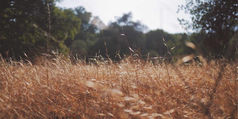 厨房收纳革命：巧用垂直空间，让厨房用具与收纳整理艺术完美融合