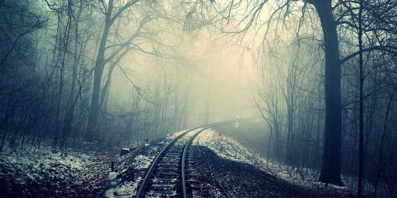 家居绿植搭配与养护全攻略:用对厨房用具与生活百货,轻松打造客厅卧室健康绿洲