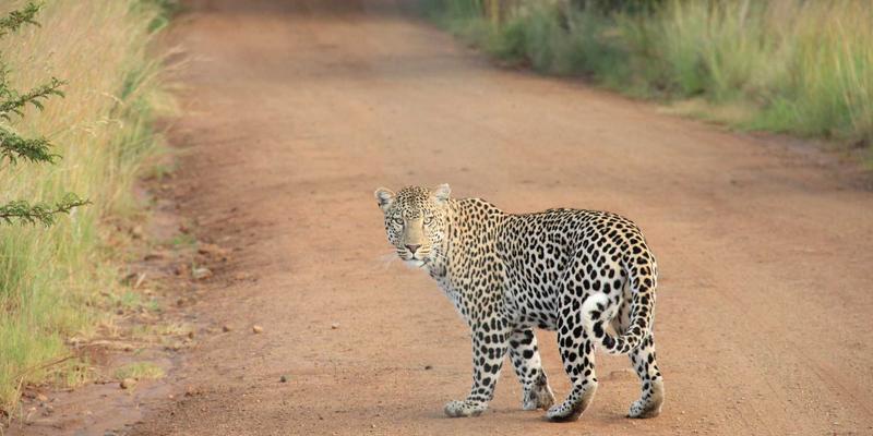 家居香薰科学指南：从收纳整理到空间搭配，打造健康香氛生活