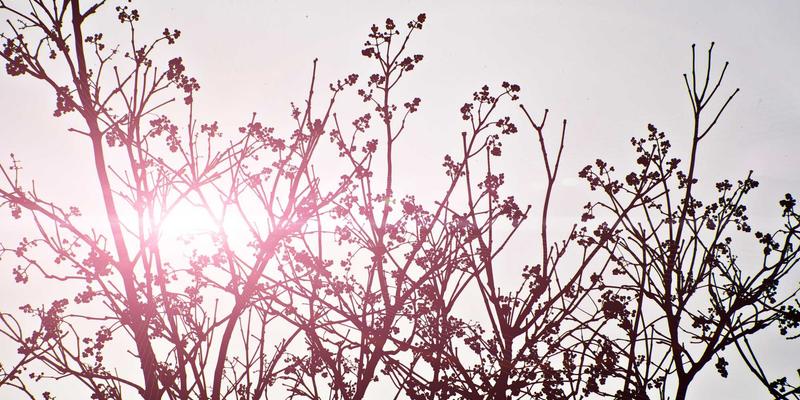 睡眠革命:从床垫到床品,打造科学助眠的卧室生态系统
